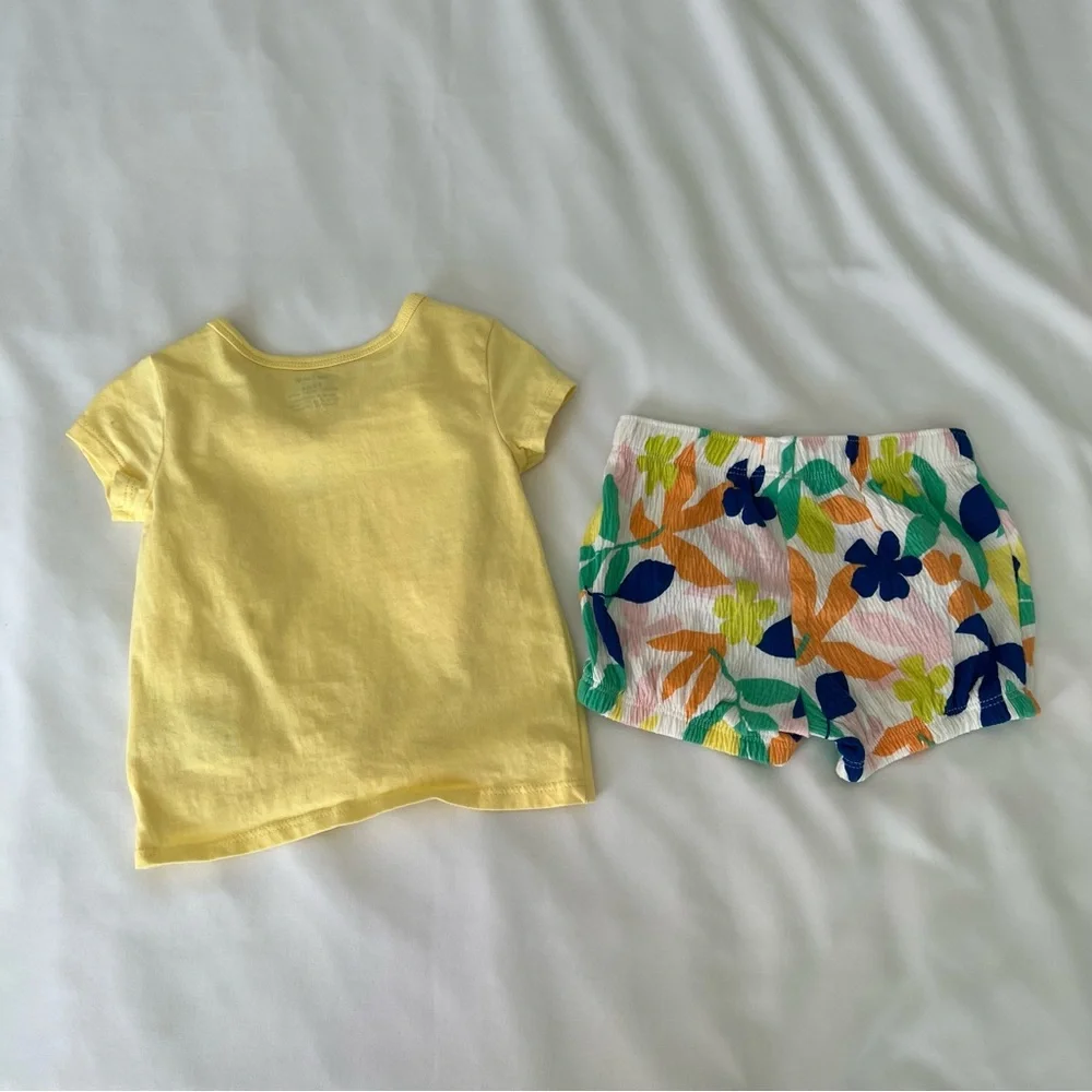 Toddler 2-Piece Flamingo Tee &‎ Short Set